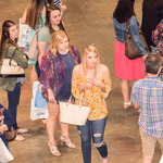  Caption: Bridal Show 2017 / Credits: Robin May