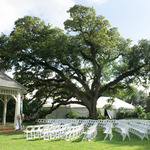   /   Credits: Photo by Catherine Guidry Photography