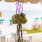   /   Credits: Photography By: Michael K 