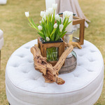   /   Credits: Photography By: Michael K 