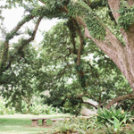   /   Credits: Photos by Laikyn Jai Photography