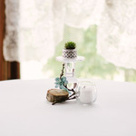   /   Credits: Photos by Laikyn Jai Photography