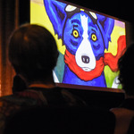   /   Credits: Photo by Robin May