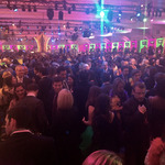   /   Credits: Lisa Hanchey