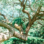  / Credits: Photos by Trent Bailey