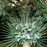  / Credits: Photos by Trent Bailey