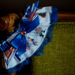   /   Credits: Photo by Natalie Phillips