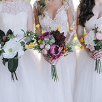   /   Credits: Photos by Kali Norton Photography