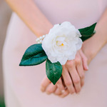   /   Credits: Photos by Kali Norton Photography