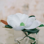   /   Credits: Photos by Kali Norton Photography