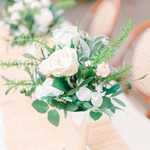   /   Credits: Photos by Kali Norton Photography