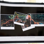  / Credits: Photo by Robin May