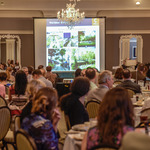   /   Credits: Photo by Robin May